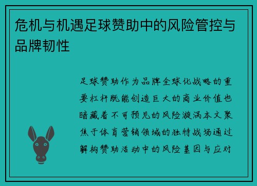 危机与机遇足球赞助中的风险管控与品牌韧性