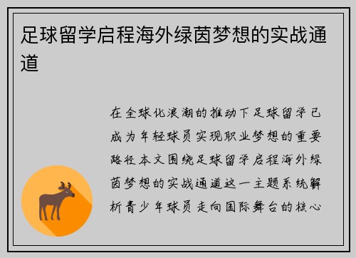 足球留学启程海外绿茵梦想的实战通道