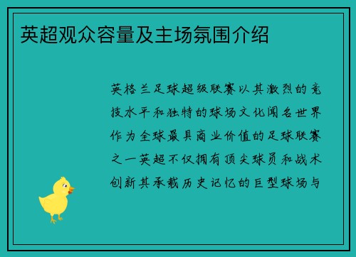 英超观众容量及主场氛围介绍