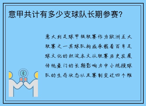 意甲共计有多少支球队长期参赛？